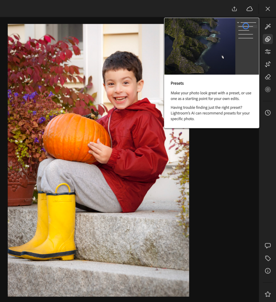 Adaptive Presets on Lightroom Web – Lightroom Killer Tips