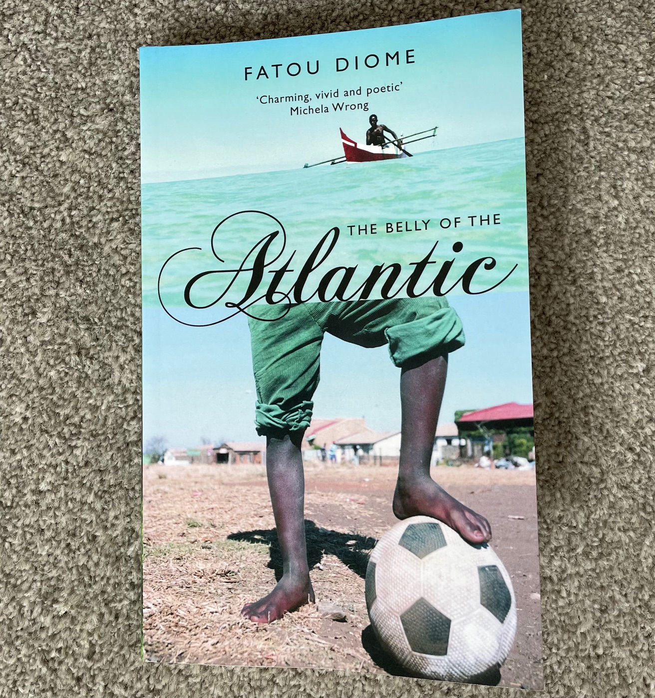 Book of the month: Fatou Diome