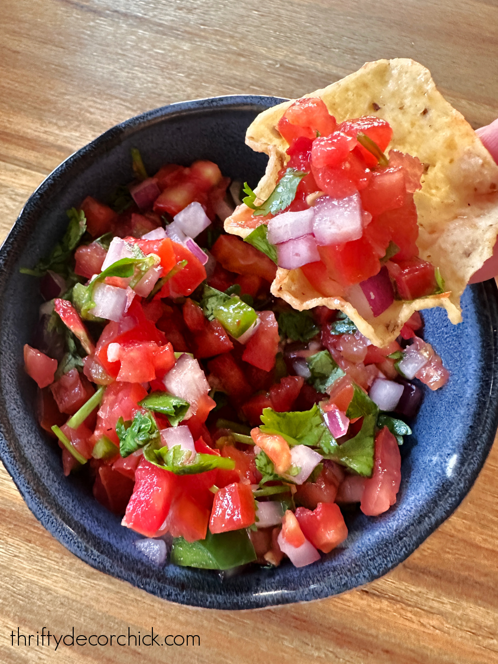 The Best and Freshest Authentic Salsa Recipe