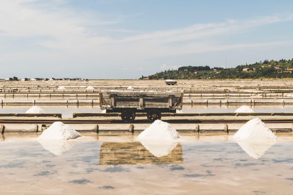 Sečovlje Saltpans Natural Park