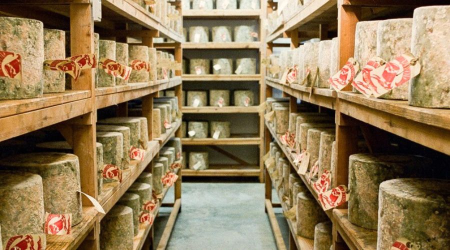 22 tonnes of cheddar worth £300k stolen from artisanal cheese maker – Farmers Guide