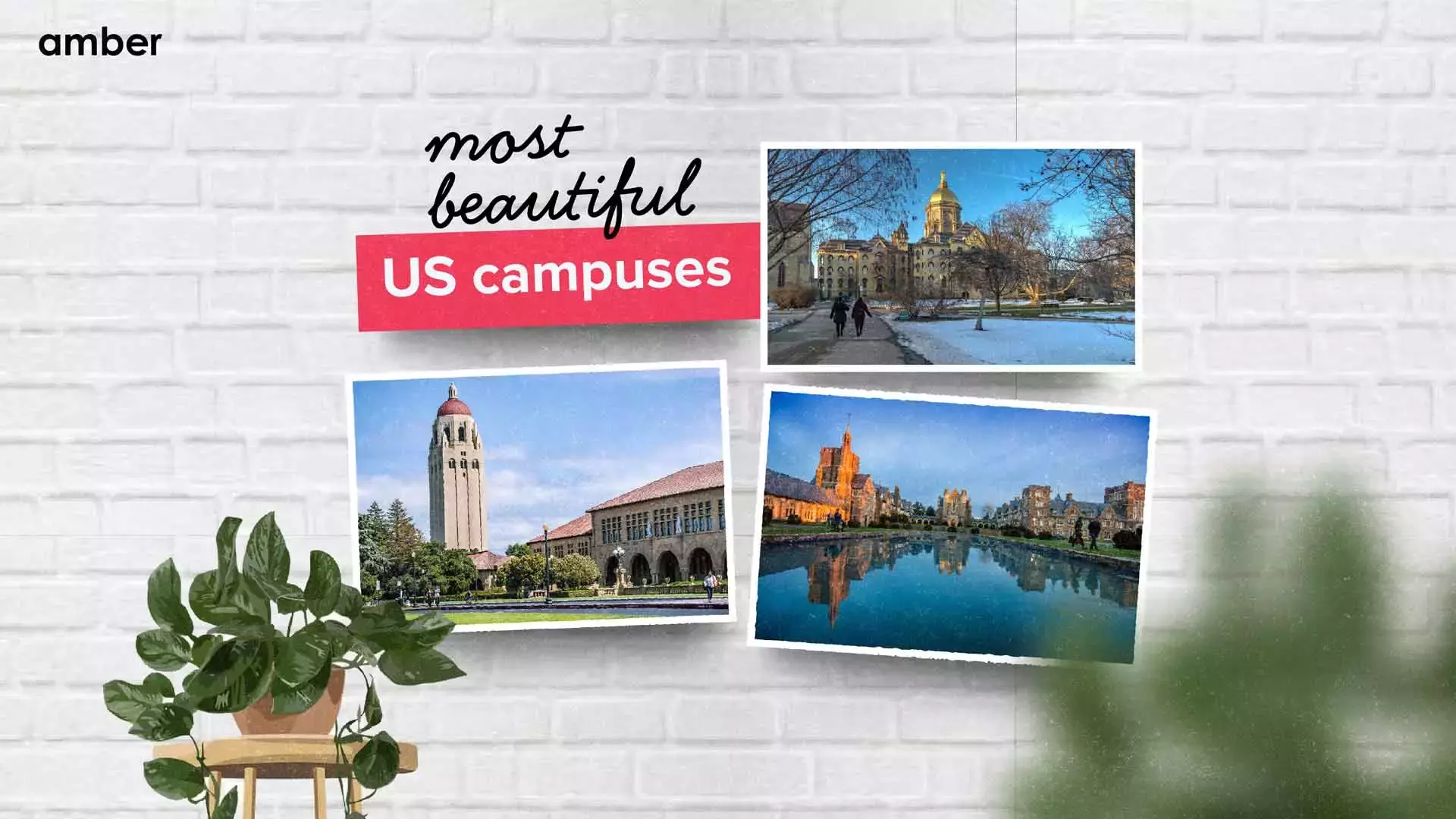 25 Most Beautiful Campuses in the US  | Amber