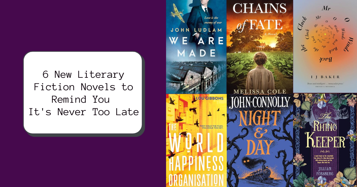 6 New Literary Fiction Novels to Remind You It’s Never Too Late | NewInBooks