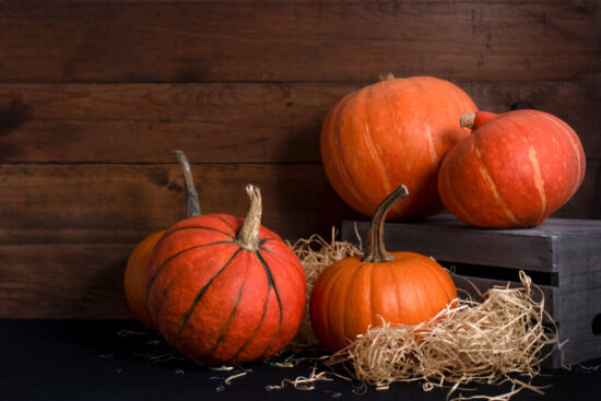 7 Places to Get Free Pumpkins