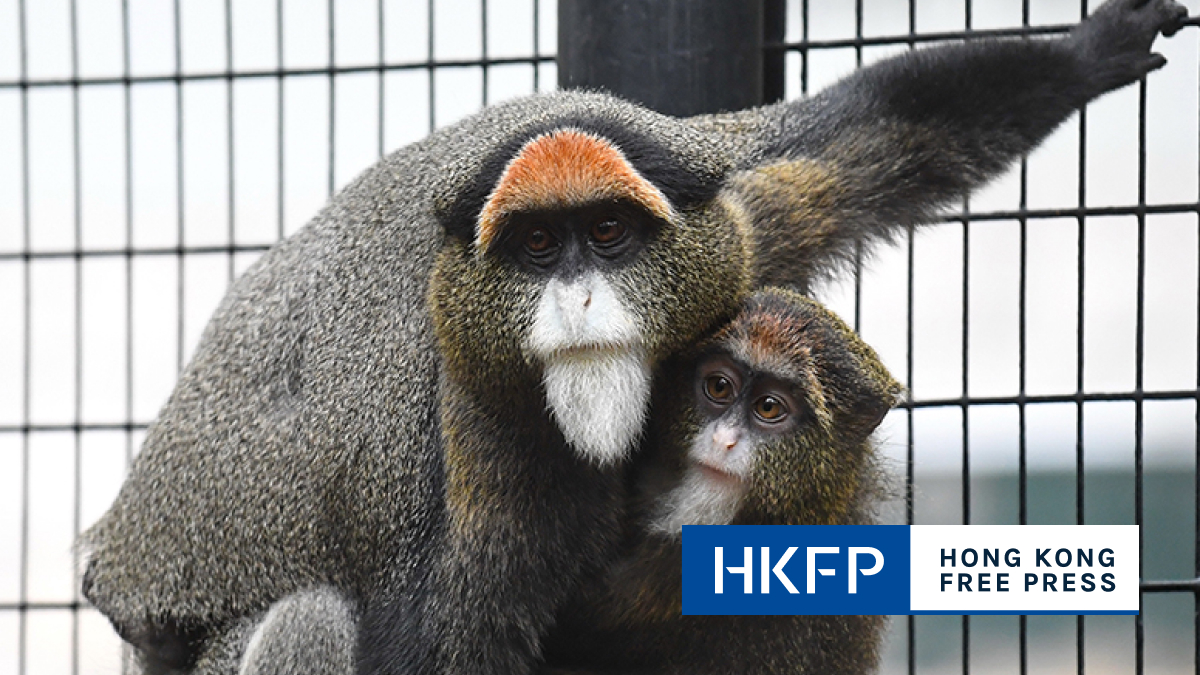 9 monkeys kept at Hong Kong zoo died from melioidosis bacterial infection