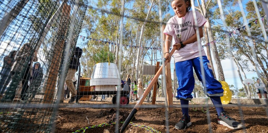 Student Emily Aguesse, 11, helps to clear a hole to plant a small giant sequoia tree from NASA's Artemis I Mission's tree seeds to become NASA Moon Tree Stewards in Lake Forest, Calif., Oct. 14, 2024. (AP Photo/Damian Dovarganes)