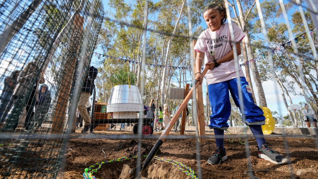 A Southern California school plants a ‘Moon Tree’ grown with seeds flown in space