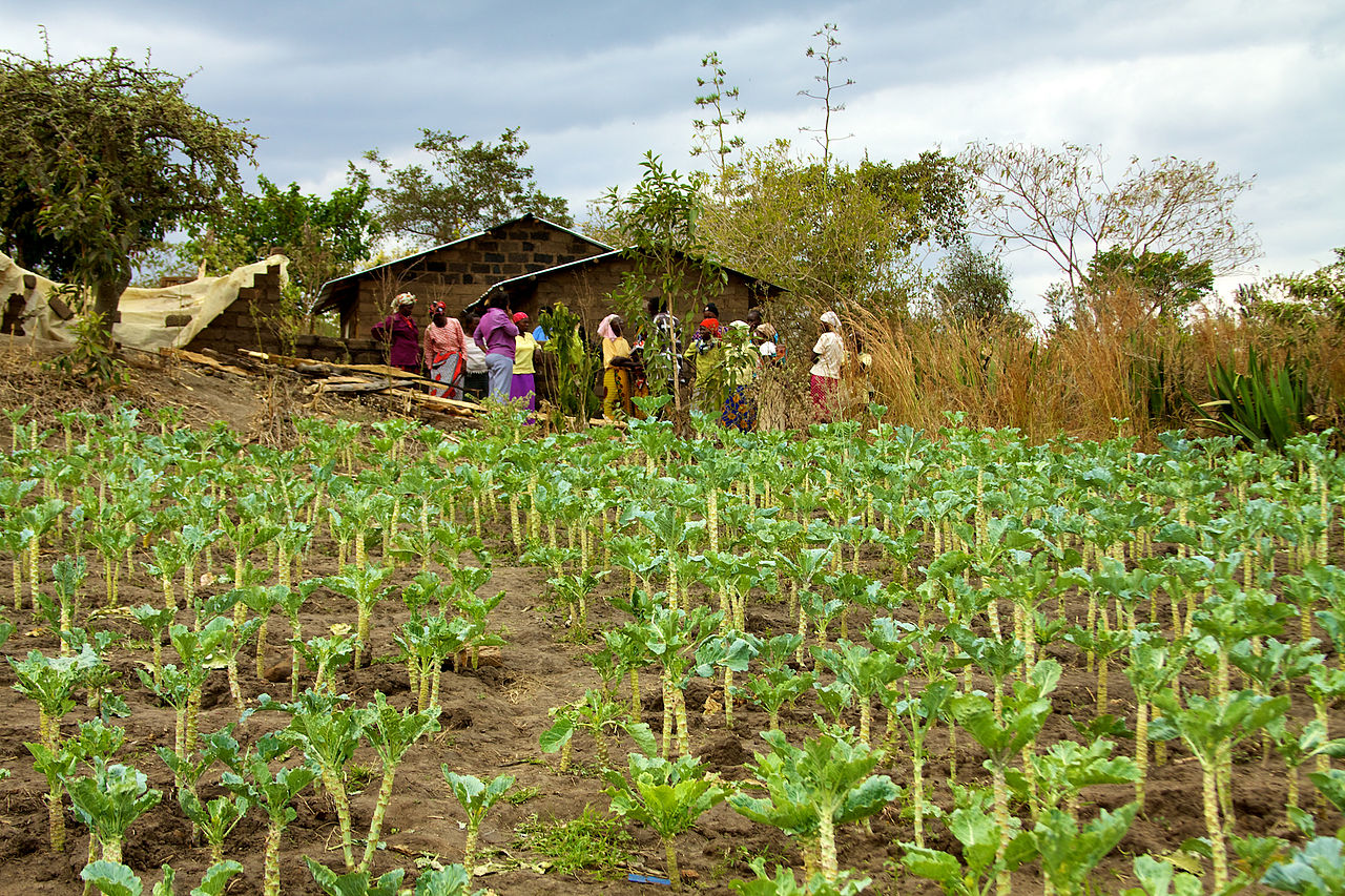 ABAN, SAIS partner to launch climate investor development programme – Disrupt Africa