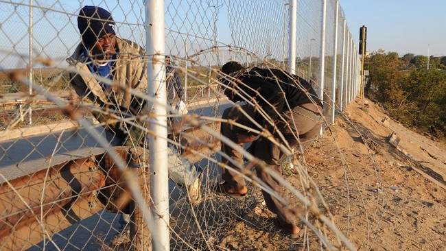 ActionSA demands end to R200 million spend on deportations, slams government’s border failures