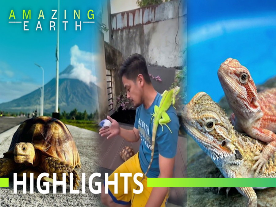 Amazing Earth: Meet the proud exotic pet lover from Valenzuela City, Roan Derit!