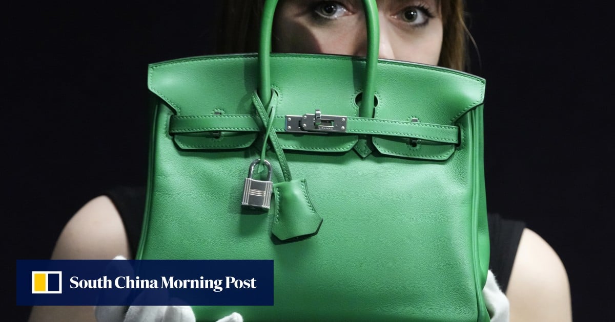 Americans suing for right to buy Hermès Birkin bags file new claims