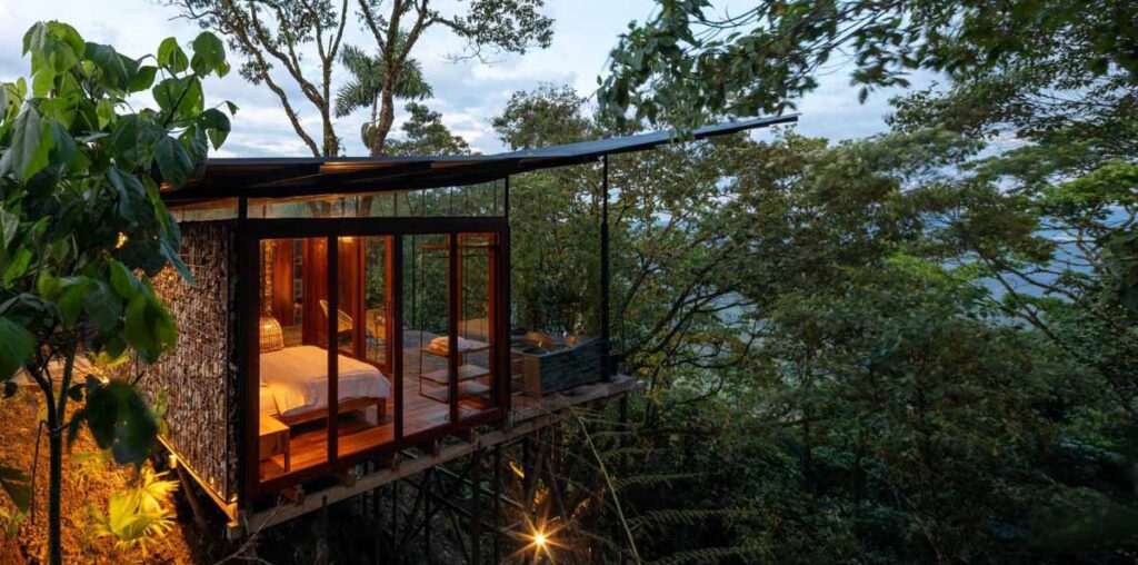 An Elevated Room Surrounded By Trees In The Jungle