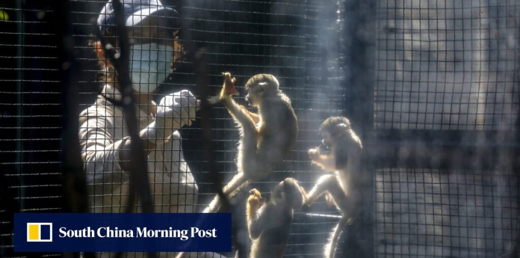 Another monkey dies at Hong Kong zoo, taking total to 10