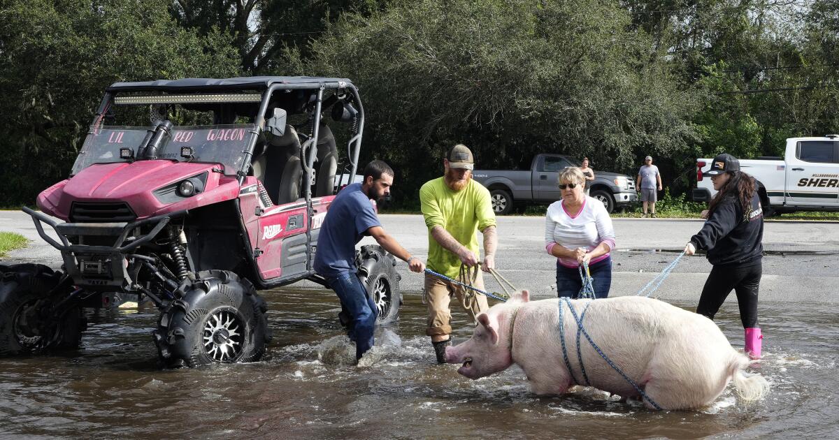 At least 16 dead in storm-battered Florida after Hurricane Milton as rescue, recovery efforts continue