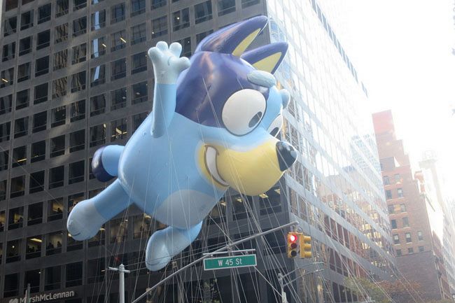 Australia gets revenge as Bluey conquers the United States