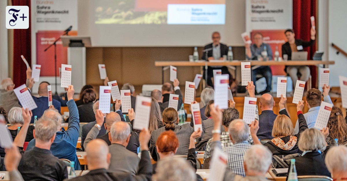 Baden-Württemberg: Das BSW zielt im Autoland auf die Facharbeiter