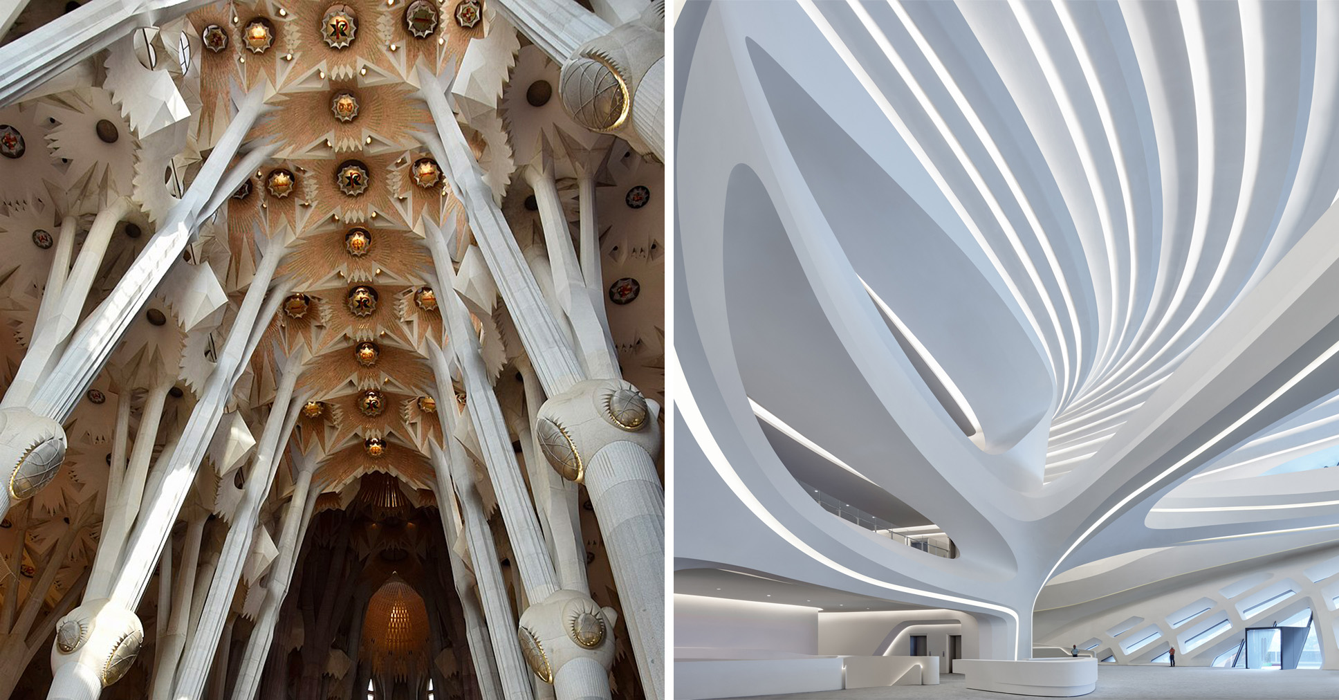 Biomimicry and Parametricism: A Design Legacy Spanning From Antoní Gaudí To Zaha Hadid