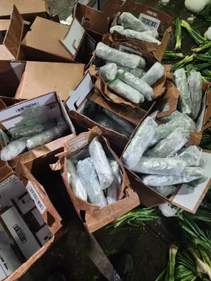 CBP Officers uncover over 646 pounds of meth hidden in green onion shipment at Calexico Commercial Facility