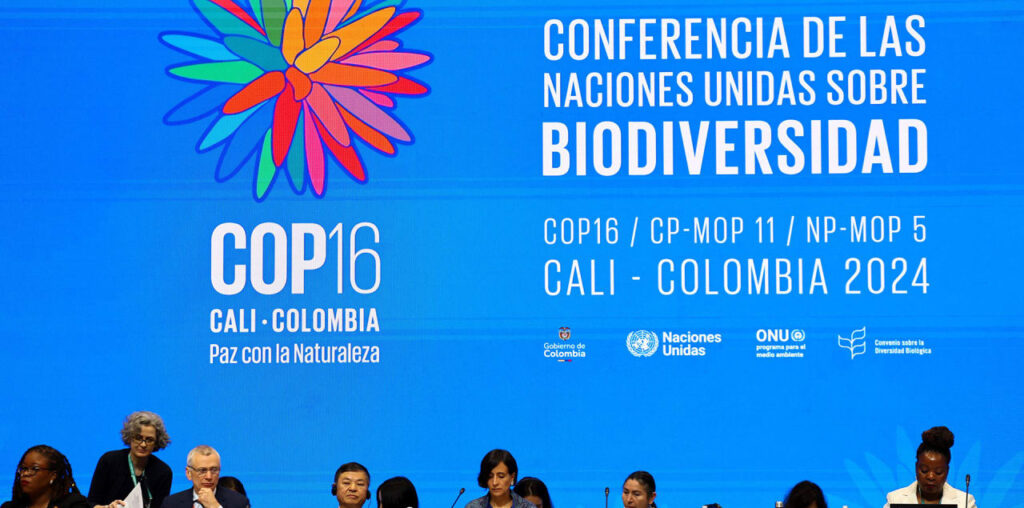 COP16 biodiversity summit reveals disappointing numbers for conservation funding