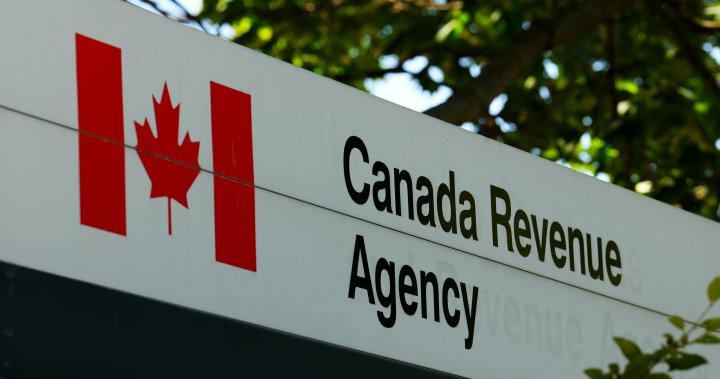 CRA says 330 employees fired for inappropriately claiming CERB – National | Globalnews.ca