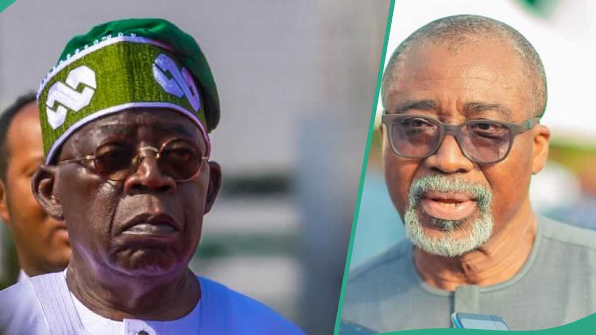 Cabinet reshuffle: ‘Whoever is made minister will fail’, Abaribe, gives reason