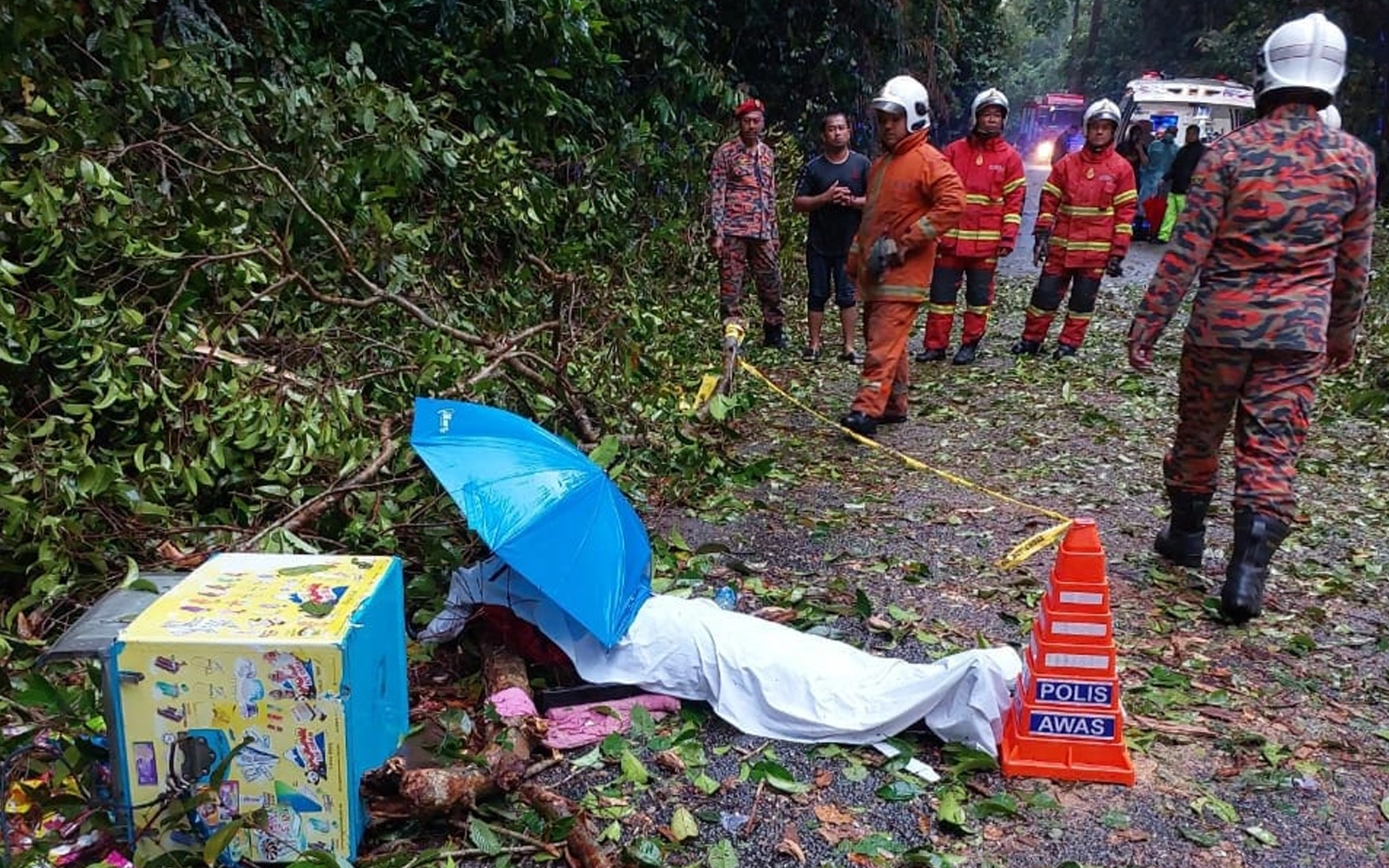 Cambodian ice cream vendor killed by falling tree