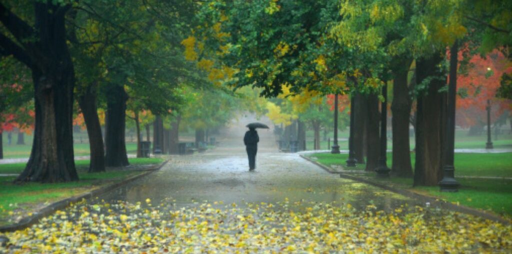 Chicago weather: Will Halloween be a cold, rainy washout?