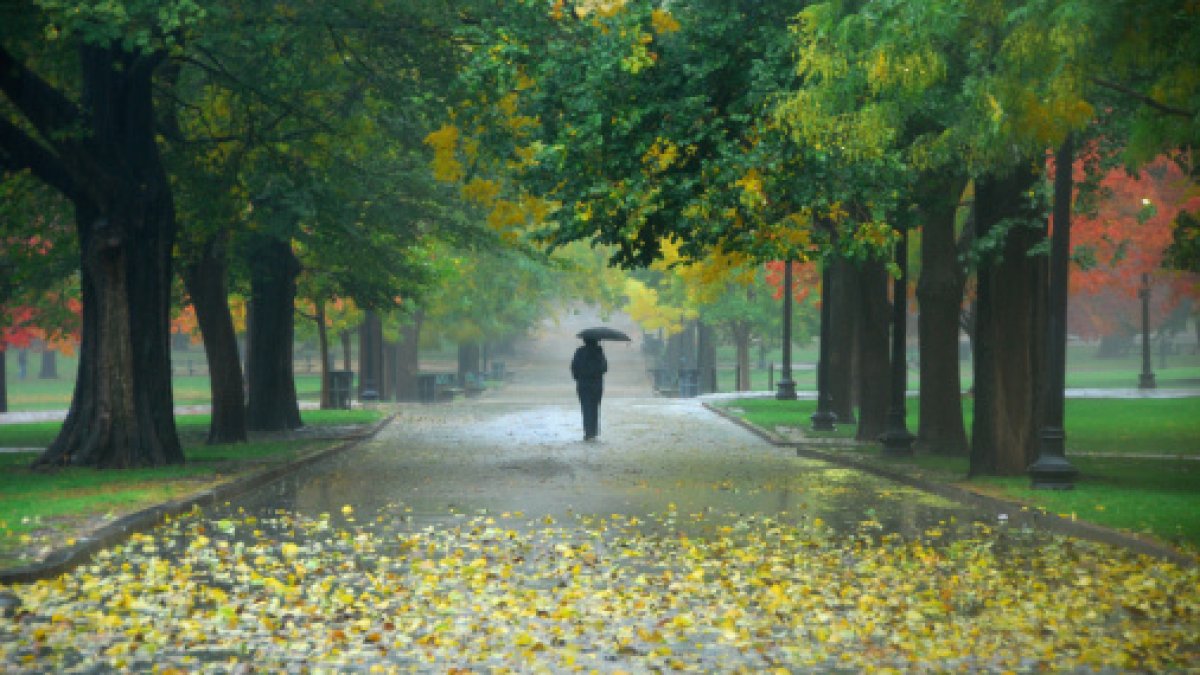 Chicago weather: Will Halloween be a cold, rainy washout?