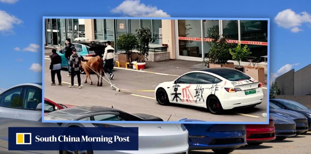 China driver in ox-tow protest as used US$14,000 Tesla he bought fails to charge