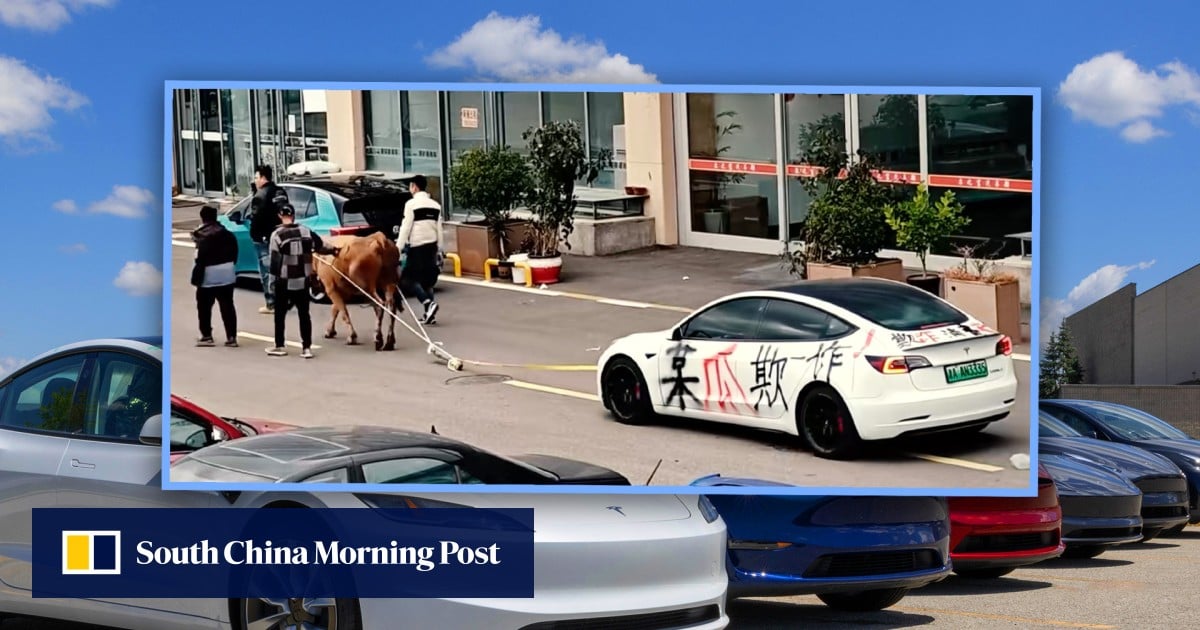 China driver in ox-tow protest as used US$14,000 Tesla he bought fails to charge