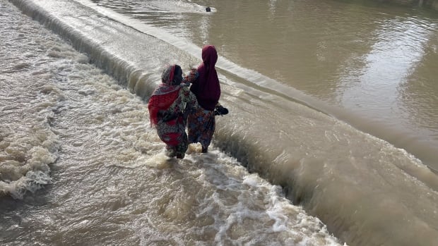 Cholera cases explode after extreme rains fuelled by climate change in west and central Africa | CBC News