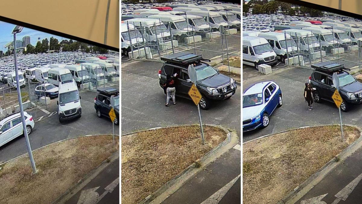 Cops baffled after 45 cars stolen