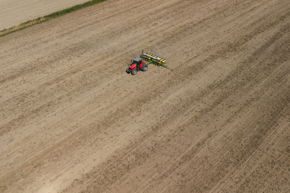 Des terres agricoles abandonnées au profit des forêts