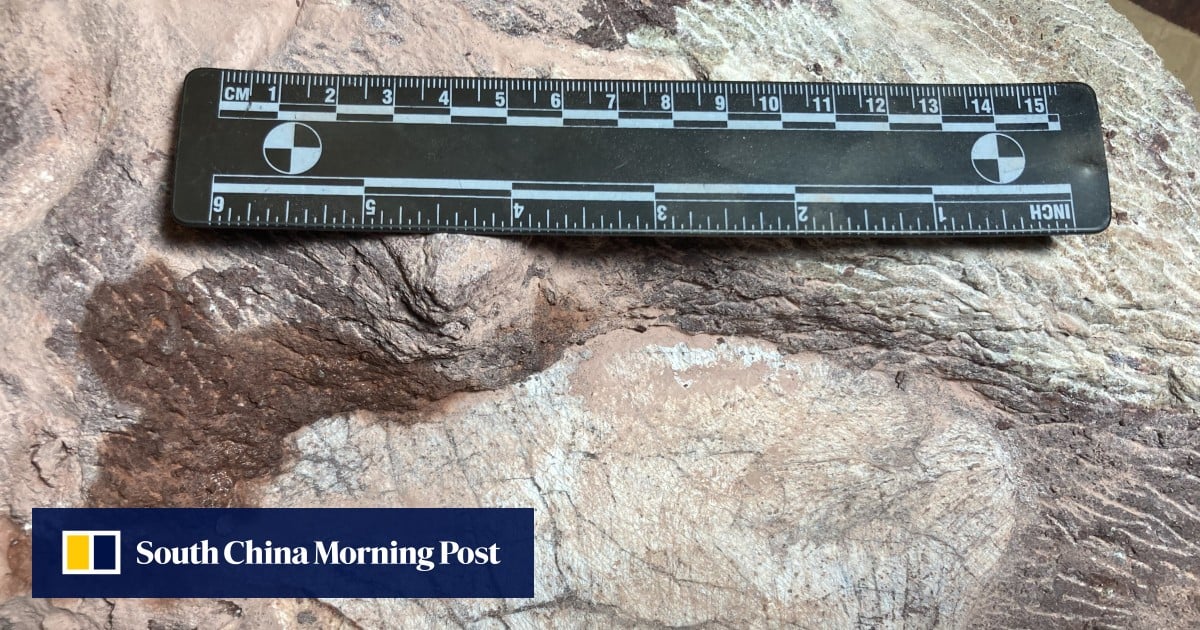 Dinosaur bones discovered in Hong Kong for first time