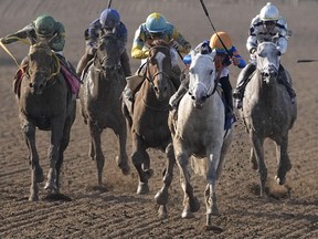 Early November sees two biggest days of horse racing in North America