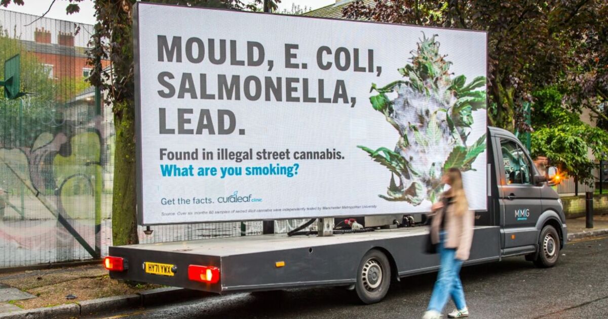 E.coli and lead found in street cannabis sold to Brits