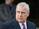 FBI probe into Prince Andrew’s friendship with paedophile Jeffrey Epstein ‘has been parked’, insiders claim