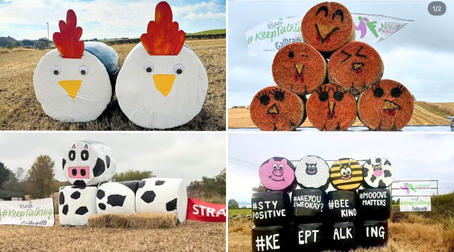 Farmers display bale art for mental health awareness – Farmers Guide