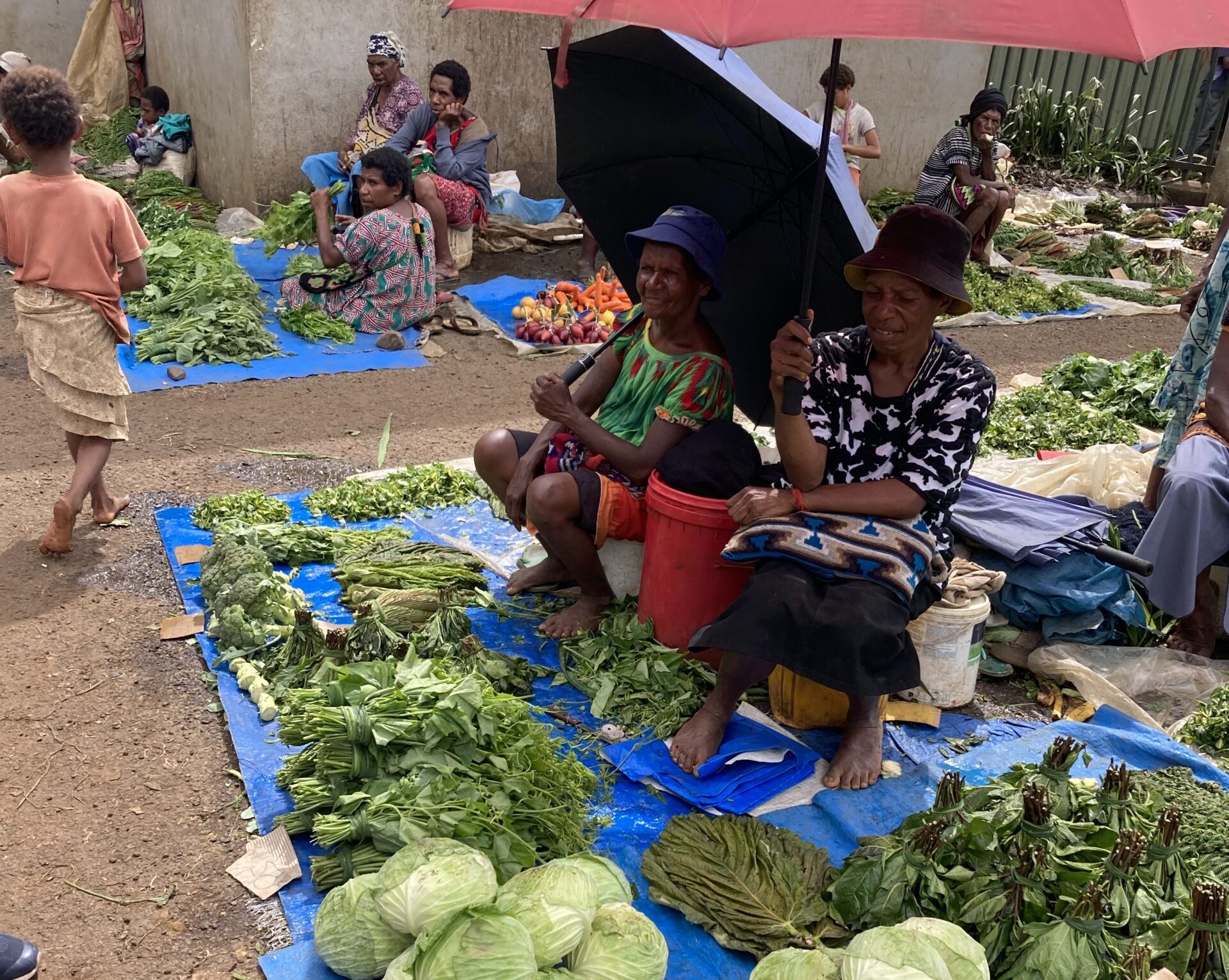 Food security challenges in rural PNG – Devpolicy Blog from the Development Policy Centre