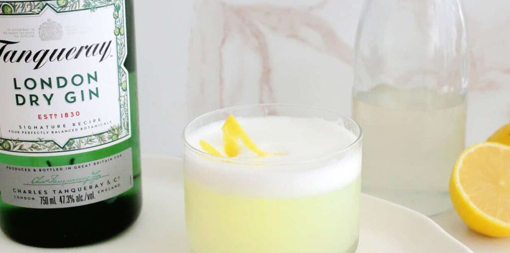 Gin Fizz Cocktail