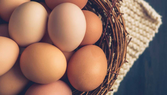 Govt okays import of 4cr eggs to keep market stable