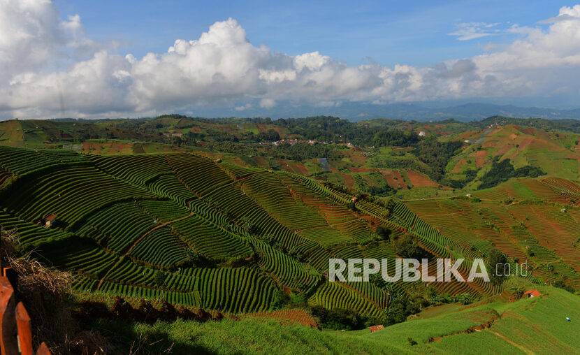 Destinasi wisata di ketinggian 2000 mdpl ini terletak di salah satu lereng Gunung Ciremai.