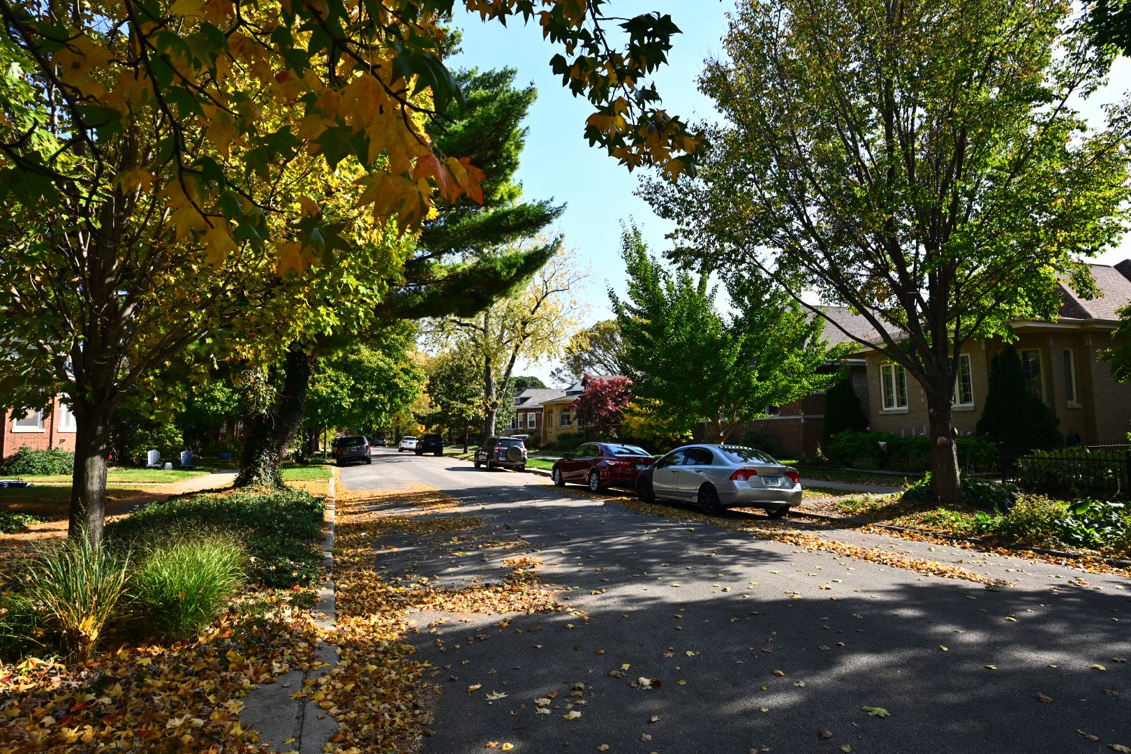 Hate Crime, Terrorism Charges Brought Against Man Who Shot Orthodox Jewish Man In West Ridge