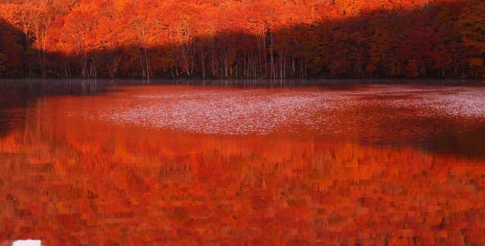 Hidden Wonders | Capturing the Fiery Autumn Sunrise at Tsutanuma Pond