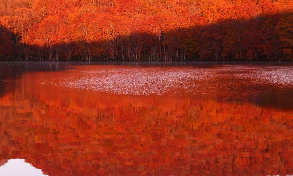 Hidden Wonders | Capturing the Fiery Autumn Sunrise at Tsutanuma Pond