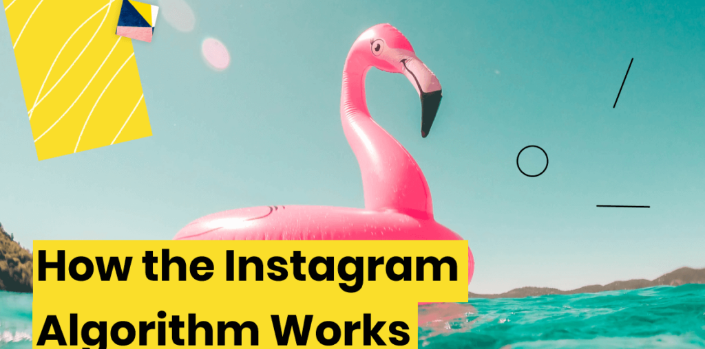 How the Instagram Algorithm Works: Everything You Need to Know