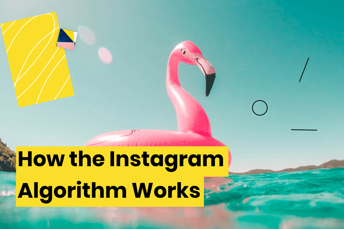 How the Instagram Algorithm Works: Everything You Need to Know