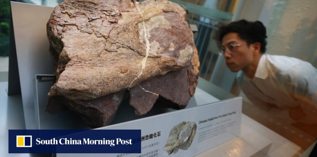 How will the discovery of dinosaur fossils affect Hong Kong? Experts answer