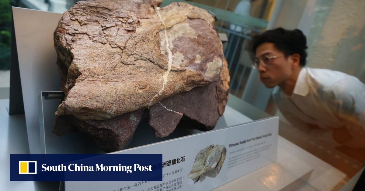 How will the discovery of dinosaur fossils affect Hong Kong? Experts answer