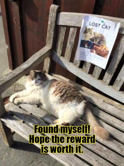 Is the reward tuna?